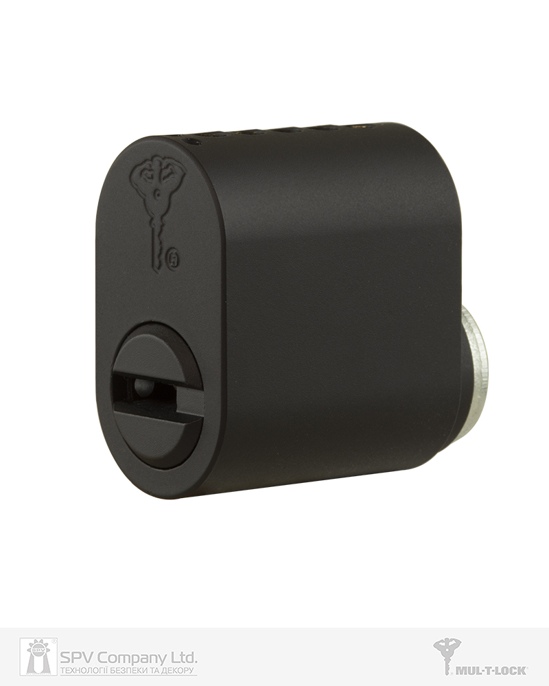 картинка Циліндр MUL-T-LOCK ASSA_OVAL   EXTERNAL MTL600 35,8 BM       DEMO 1KEY DND3D_BLUE 206S от магазина lock.ua