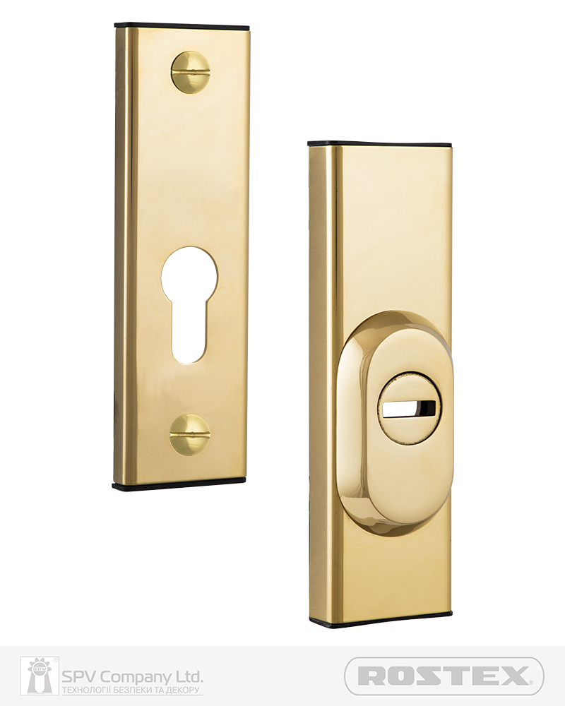 Фото Протектор ROSTEX   R1/R4 R3 DIN PLATE 22мм 38-55мм Титан_PVD_полірований 3клас TI     Комплект в інтернет-магазині locksmaster.com.ua