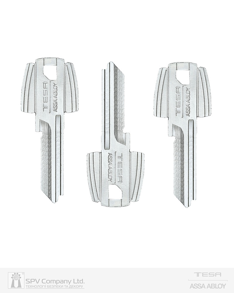 Фото Комплект ключів TESA TE5 3KEY   28мм VERTICAL   NSi       TE5_B   в інтернет-магазині locksmaster.com.ua