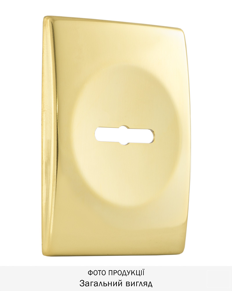 Фото Щиток DISEC     KT3766 MATRIX RECTANGL     Латунь_PVD   2     Без шторки в інтернет-магазині locksmaster.com.ua