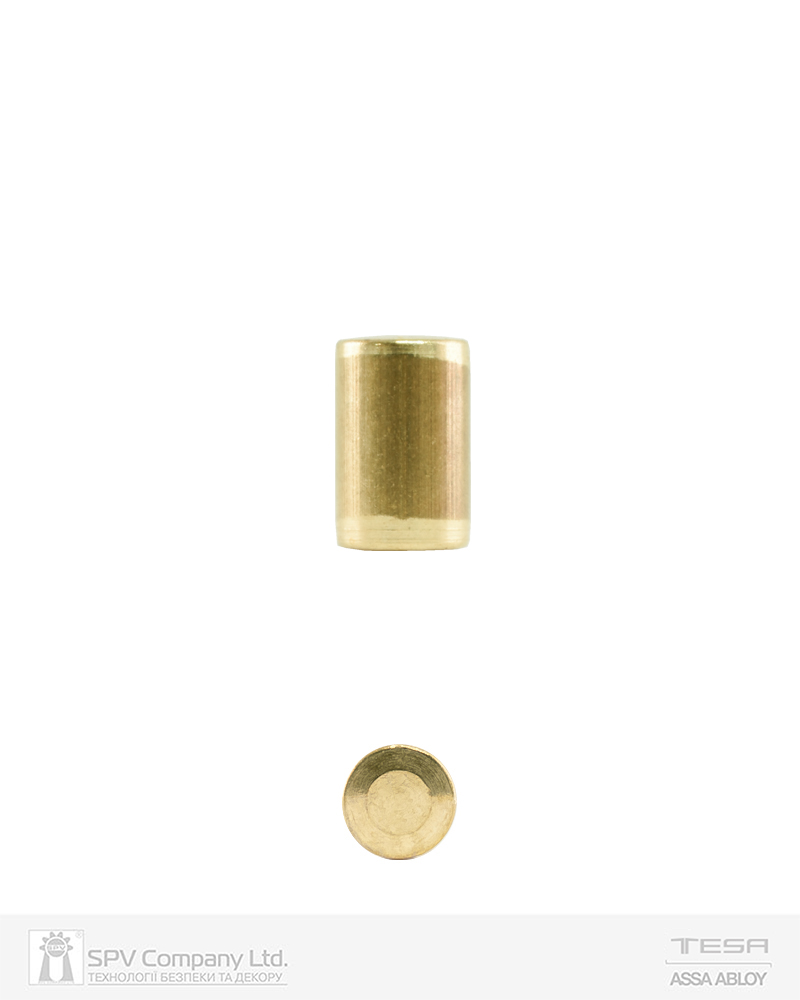 Фото Диск TESA TE5 MASTER Nº11(#9) до плуга циліндра 4,5 MM в інтернет-магазині locksmaster.com.ua