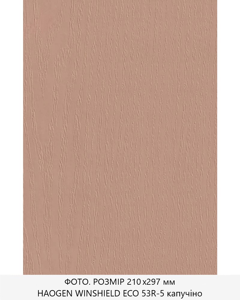 Фото ПВХ-плівка HAOGEN *VINORIT_ECO капучіно 53R-5 RUSTIKAL(R) CAPPUCCINO   *UNICOLOR 0,200мм   в інтернет-магазині locksmaster.com.ua