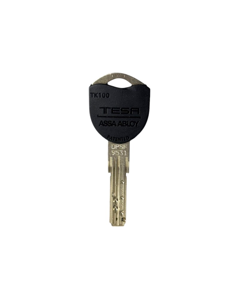 Фото Ключ TESA TK100 1KEY TK100 35мм HORIZONTAL 45мм NSi           в інтернет-магазині locksmaster.com.ua