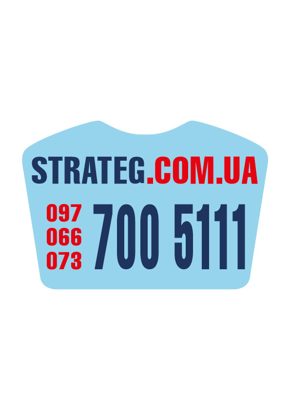 Фото Вставка-лого_кольорова ACRYL STRATEG BLUE об’ємна, самоклеюча в інтернет-магазині locksmaster.com.ua