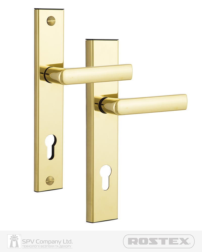 Фото Фурнітура захисна ROSTEX 807 R mov-mov PZ PLATE 85мм Титан_PVD_полірований   38-55мм 3клас 804 TI Комплект в інтернет-магазині locksmaster.com.ua